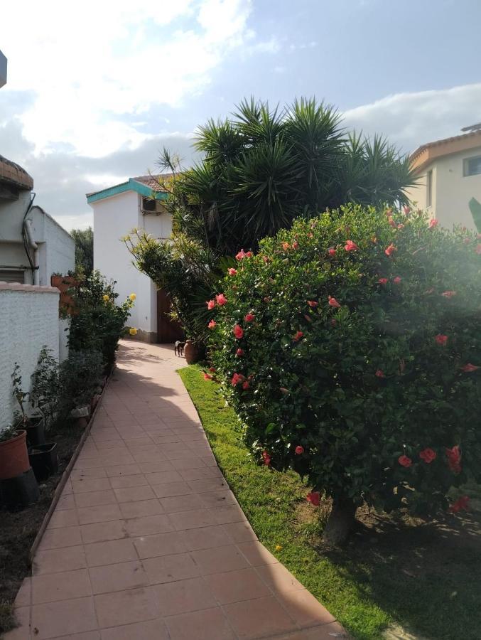 Rosa Dei Venti Hotel Cagliari Kültér fotó
